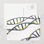 DNA（デオキシリボ核酸）分子 ポストカード (正面/裏面)