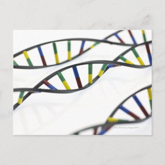 DNA（デオキシリボ核酸）分子 ポストカード (正面)