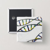 DNA（デオキシリボ核酸）分子 缶バッジ (正面&裏面)