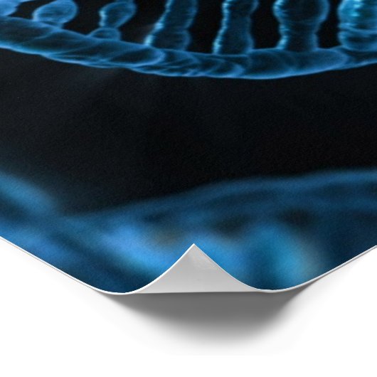 DNA ポスター (角)