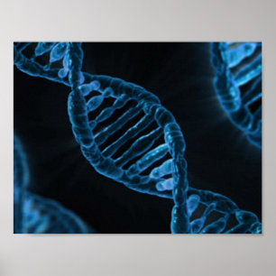 DNA ポスター