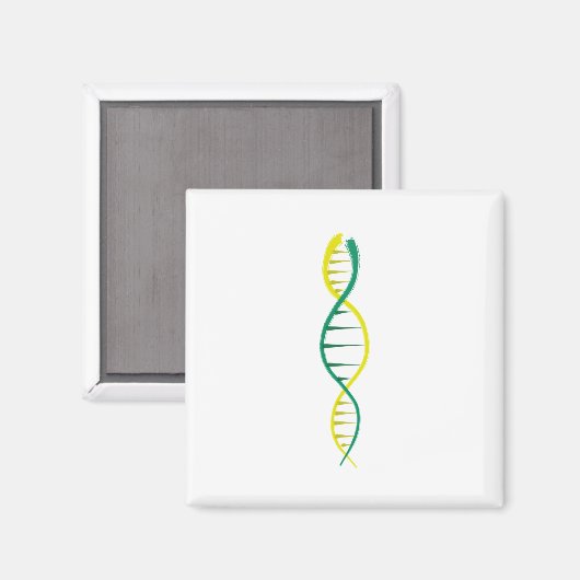 DNA マグネット (正面/裏面)