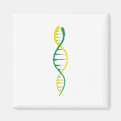 DNA マグネット (正面)