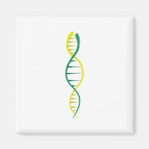 DNA マグネット