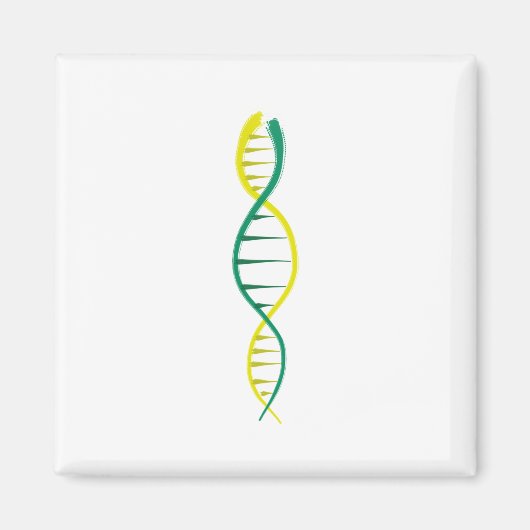 DNA マグネット (正面)