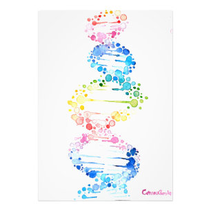DNA、生命のスパイラル フォトプリント