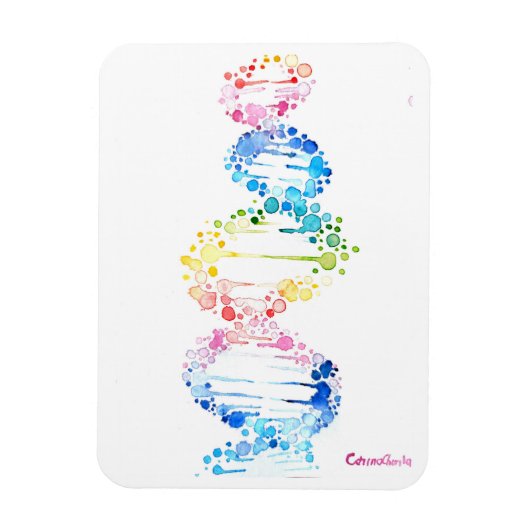 DNA、生命のスパイラル マグネット (縦)