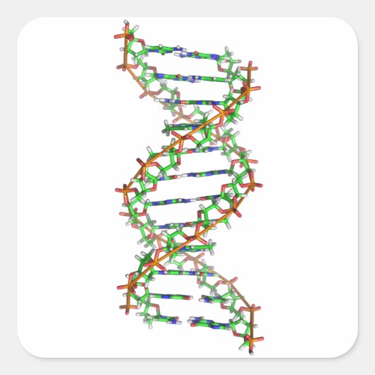 DNA – 科学/科学者/生物学 スクエアシール (正面)