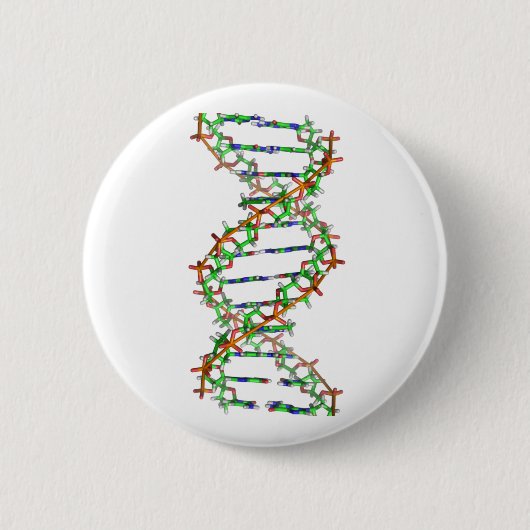 DNA – 科学/科学者/生物学 缶バッジ (正面)