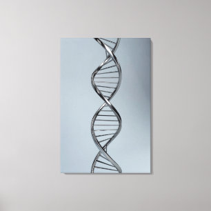DNA 2の概念的なイメージ キャンバスプリント