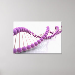 DNA 4の概念的なイメージ キャンバスプリント