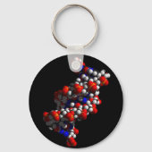 DNA Double Helix Model キーホルダー (正面)