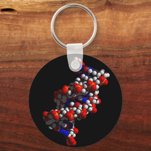DNA Double Helix Model キーホルダー (正面)