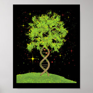 Dna Tree – 生物学生物学学生科学分野 ポスター