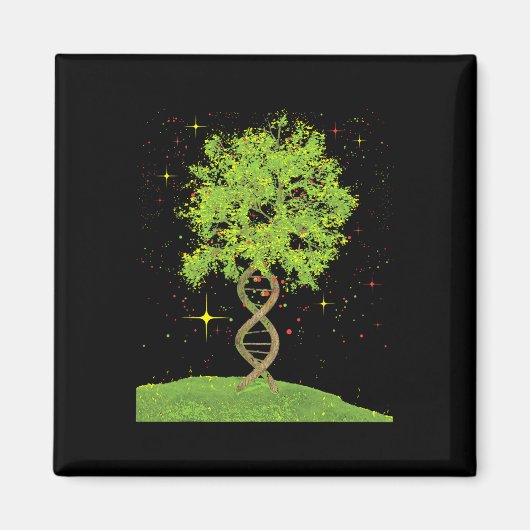Dna Tree – 生物学生物学学生科学分野 マグネット (正面)
