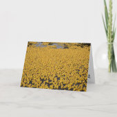 DNDダック カード (正面)