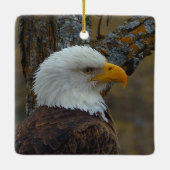 DNNフィーチャー。ノース氏 セラミックオーナメント (裏面)