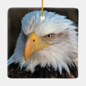 DNNフィーチャー。DNF セラミックオーナメント (裏面)