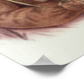 Do-Hon-Go, an Osage Woman ポスター (角)