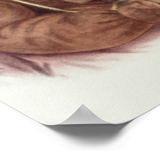 Do-Hon-Go, an Osage Woman ポスター (角)