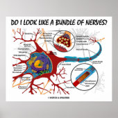 Do I Look Like A Bundle Of Nerves? Neuron Synapse ポスター (正面)