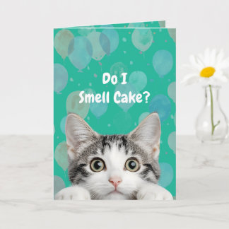 Do I Smell Cake Cute kitten Birthday Card カード