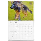 “DO NOT PET” - US Military Working Dogs Calendar カレンダー (2月 2027)