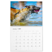 “DO NOT PET” - US Military Working Dogs Calendar カレンダー (1月 2027)