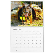 “DO NOT PET” - US Military Working Dogs Calendar カレンダー (1月 2027)