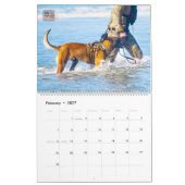 “DO NOT PET” - US Military Working Dogs Calendar カレンダー (2月 2027)