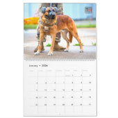 “DO NOT PET” - US Military Working Dogs Calendar カレンダー (1月 2026)