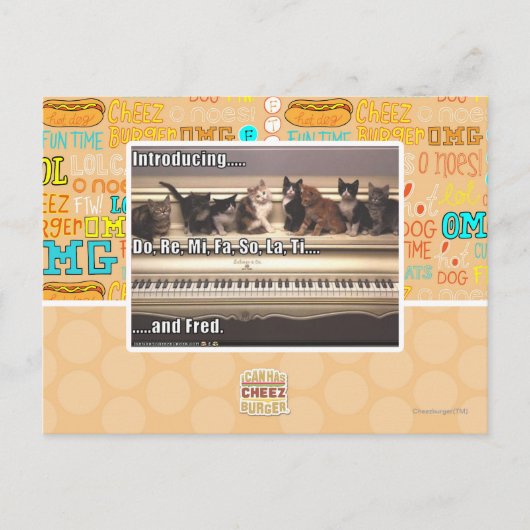 Do, Re, Mi, Fa, So, La, Ti, Fred ポストカード (正面)