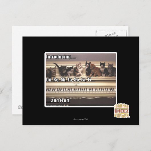 Do, Re, Mi, Fa, So, La, Ti, Fred ポストカード (正面/裏面)