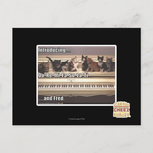 Do, Re, Mi, Fa, So, La, Ti, Fred ポストカード (正面)