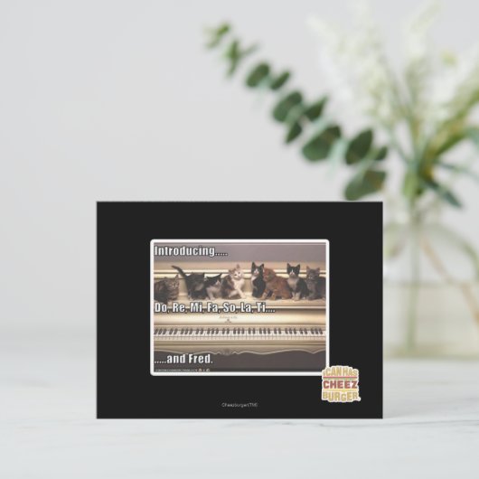Do, Re, Mi, Fa, So, La, Ti, Fred ポストカード (スタンド正面)