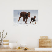 Doberman and Min Pin - LOOK! A Mini Me! ポスター (キッチン)