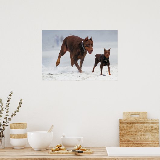 Doberman and Min Pin - LOOK! A Mini Me! ポスター (キッチン)