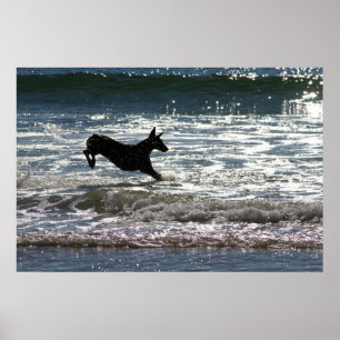 Doberman - Black - Ocean Leap ポスター