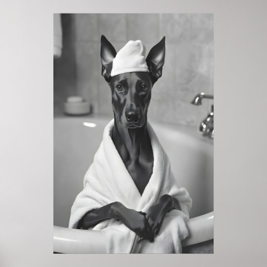 Doberman in Bathrobe, Funny Bathroom Art ポスター (正面)