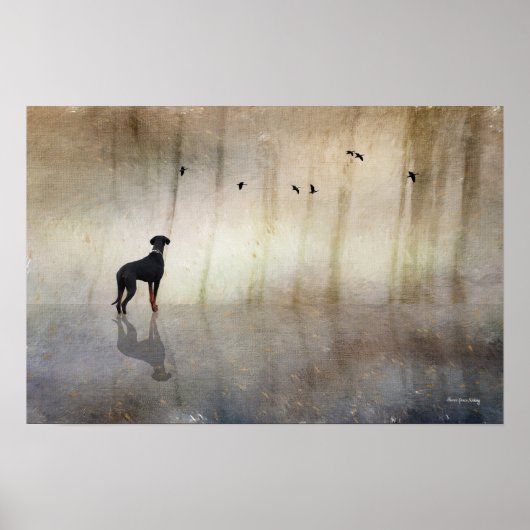 Doberman Photo Art - Reflections of a Quietハート ポスター (正面)