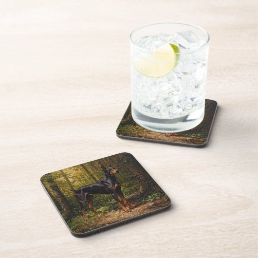 Doberman Pinscher コースター (右側)