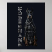 Doberman Pinscher    ポスター (正面)