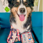 DOBRO Aussie Australian Shepherd 鍋つかみ&鍋敷きセット