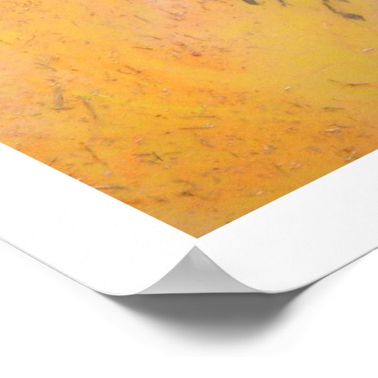 Doc Raiders Ref Pic ポスター (角)