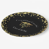 Doctor of Nursing Practice Graduation Black Gold ペーパープレート (アングル)
