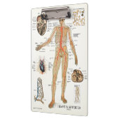 Doctors Officeハート構造クリップボード クリップボード (左)