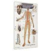 Doctors Officeハート構造クリップボード クリップボード (右)