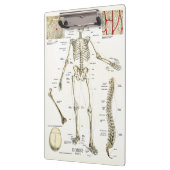 Doctors Office Skeleton Anatomy Clipboard クリップボード (左)