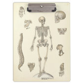 Doctors Office Skeleton Anatomy Clipboard クリップボード (正面)