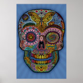 Dod Sk511 – 色 ポスター (正面)